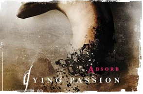 Absorb [2009] - CD + DVD